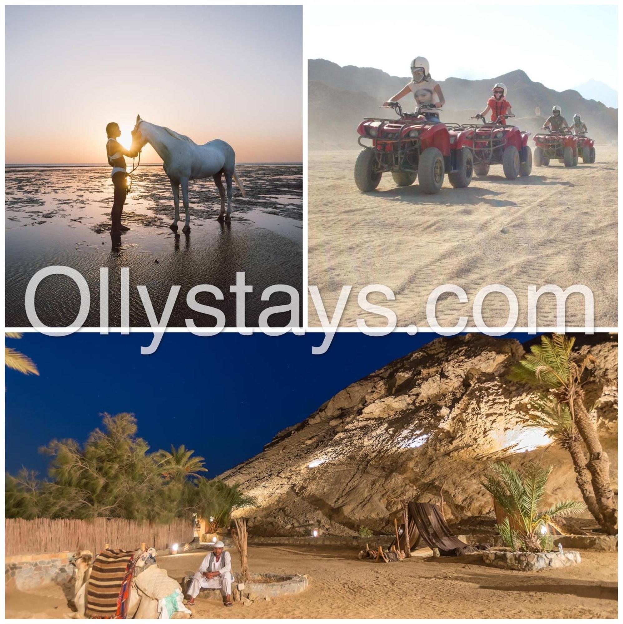 Ollystays Mangroovy 1 Bedroom Beach And Pool Free Access Hurghada Exterior photo
